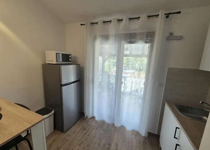 Apartments Dejana Stinjan