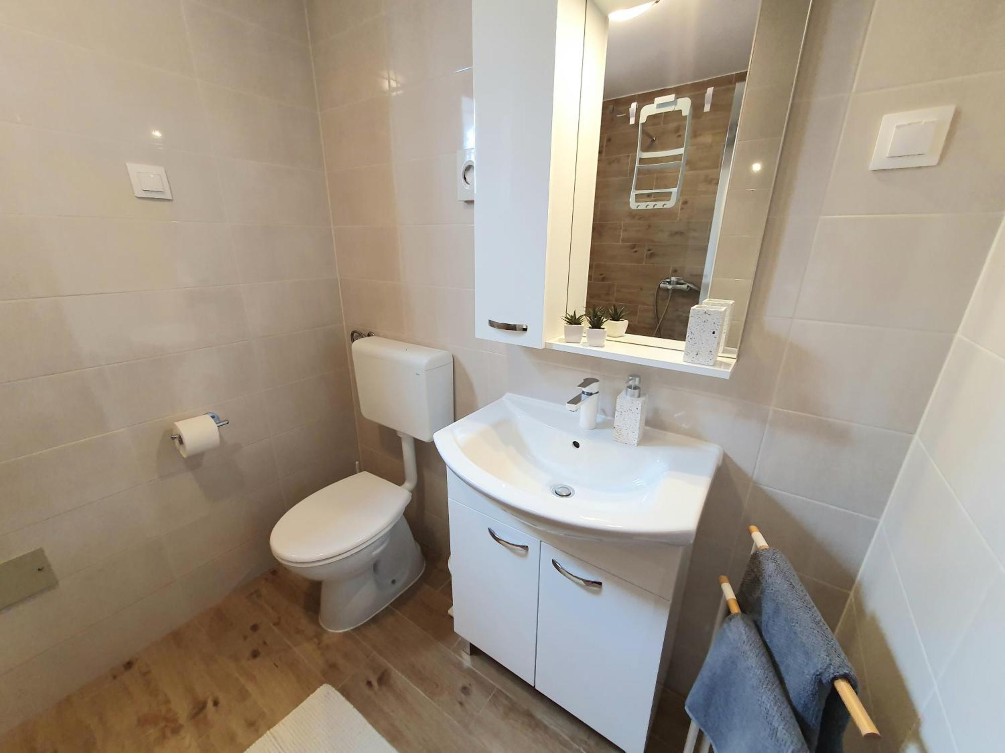 Dejana Apartment Stinjan